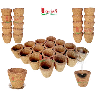 Empty Natural Organic Cow Dung Sambrani Dhoop/Cow Panchgavya Dhuni Cups for Daily Puja - Pack of 100 Pcs