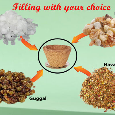 Organics Desi Gir Cow Dung Empty Sambrani Dhoop 100 Cups for Pooja | Havan Cups for Pooja, Home & Festivals | Natural Guggal/Loban Dhoop Original