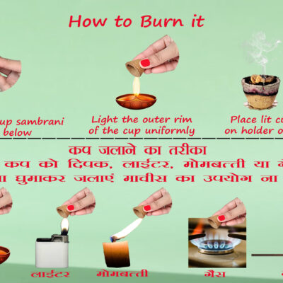 Organics Desi Gir Cow Dung Empty Sambrani Dhoop 100 Cups for Pooja | Havan Cups for Pooja, Home & Festivals | Natural Guggal/Loban Dhoop Original